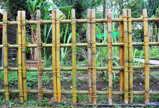 Bamboo fence in the garden