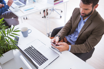 Fototapeta premium Businessman Working in Office