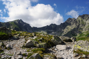 Beautiful landscape of a mountain valley in the Slovakia. High Tatra Mountains.