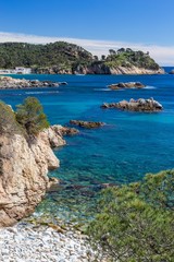 Fototapeta na wymiar Detail of the Spanish coast at summer (Catalonia,Costa Brava)