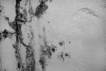 Excessive moisture can cause mold and peeling paint wall ,such as rainwater leaks or water leaks.