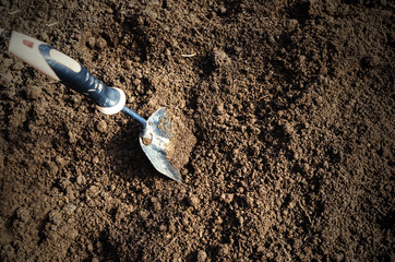Soil with shovel. Close-up. To plant the plant in the garden