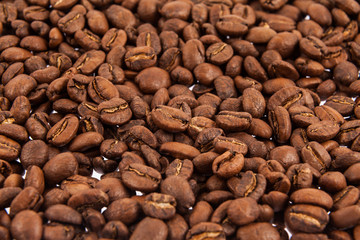 Roasted coffee beans