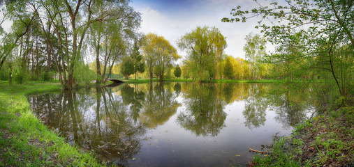 Fototapeta na wymiar Tranquil Pond With Lush Green Woodland Park in Sunshine