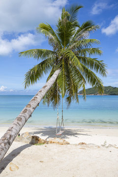 Beautiful tropical beach, palm tree and sea water in island Koh Phangan , Thailand