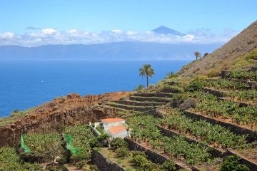 Fototapete Rund AGULO, LA GOMERA, SPAIN: Cultivated terraced fields near Agulo village with the Atlantic Ocean and Teide volcano (in Tenerife Island) in the background © Christophe Cappelli