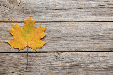 Autumn leaf on grey wooden table