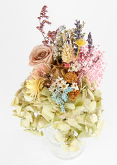 dried flowers isolated on white background