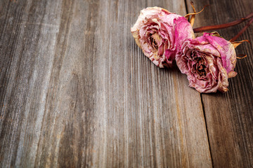 Dried flowers roses on a wooden background