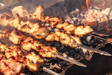Kebabs on the grill smoke