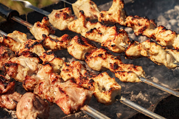 Kebabs on the grill smoke
