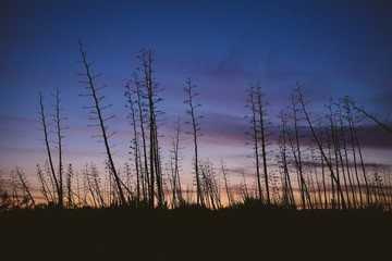Natural Park of Cabo de Gata