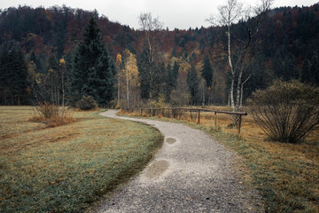 Obraz premium Fussen, Bavaria, Germany. A walking trail near Lake Schwansee to the autumn forest.