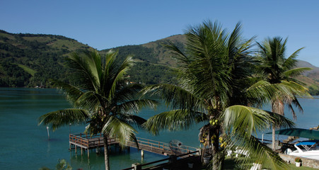 Fototapeta na wymiar View of coconut trees and pier in Angra dos Reis, Rio de Janeiro Brazil