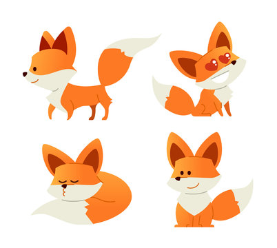 Fox- modern vector set of flat illustrations.