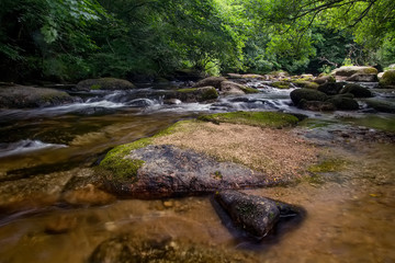 Naklejka na ściany i meble A river with a fast current in the forest. Rocky river. East Dart. Dartmoor National Park. Devonshire. England