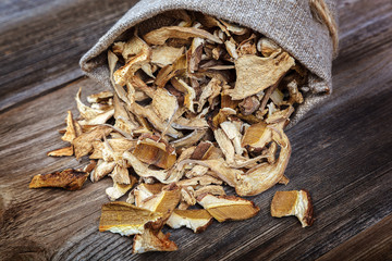 Dried porcini mushrooms in a canvas bag