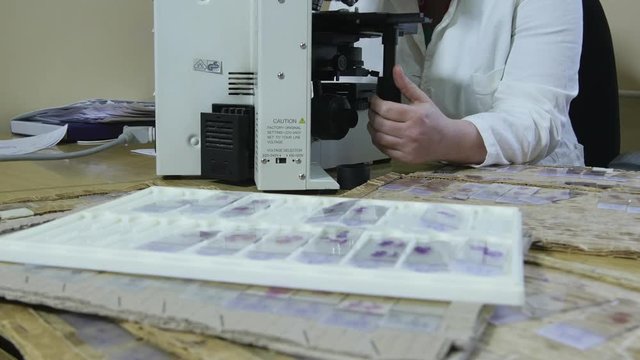 Tilt up from a tissue samples to the portrait of female doctor specialist pathologist in white coat while using microscope to analyzing specimens, tumor or cancer diagnosis, laboratory analysis