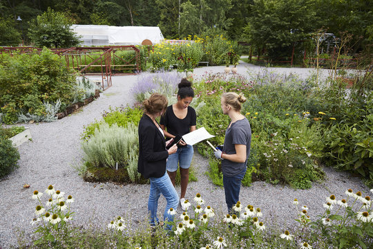 High angle view of architects communicating at community garden