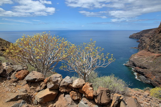 ALAJERO, LA GOMERA, SPAIN: View of the wild coast near Alajero from the hiking trail Sendera Quise  with colorful stones and yellow plants