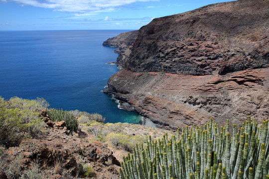 ALAJERO, LA GOMERA, SPAIN: View of the wild coast near Alajero from the hiking trail Sendera Quise  with cactus plants