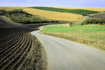 Naklejka premium Winding empty road at Moravian Fields in Czechia.