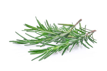 Fototapeta premium rosemary isolated on white bacground