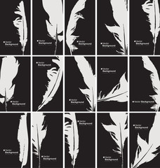 vector set of black and white business cards with a bird feather - obrazy, fototapety, plakaty