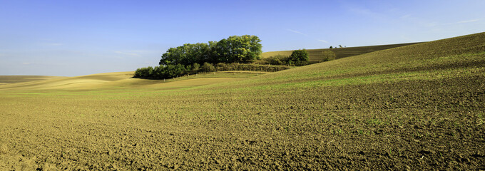 Panoramic view of cultivated field in South Moravia, Czechia. Beautiful wavy fields.