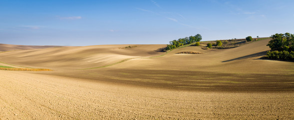 Fototapeta na wymiar Panoramic view of cultivated field in South Moravia, Czechia. Beautiful wavy fields.