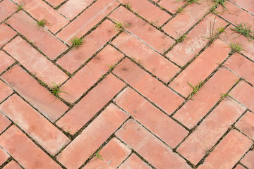 Pavement in the park.