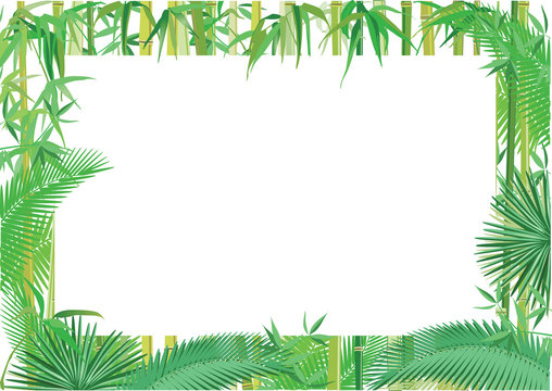 Exotischer Jungle Banner illustration