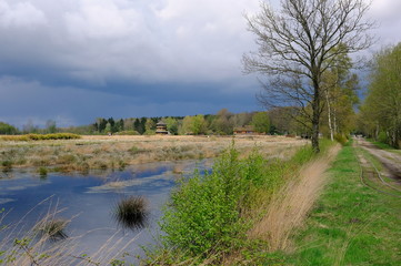 Torfmoor bei Goldenstedt