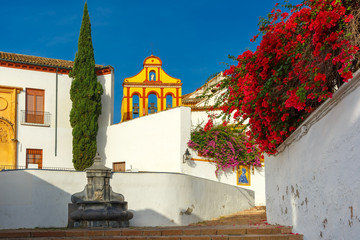 The street of Cordoba in th sunny day, Cordoba, Andalusia, Spain