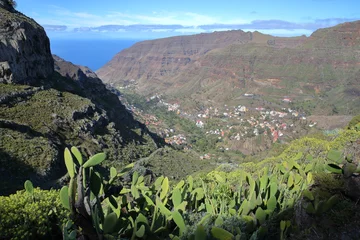 Tuinposter LA GOMERA, SPAIN: General view of Valle Gran Rey from a hiking trail near El Cercado and with cactus plants in the foreground © Christophe Cappelli
