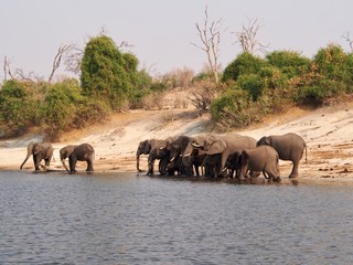 Botswana © roddielie