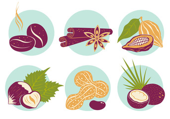 Vintage set nuts icons