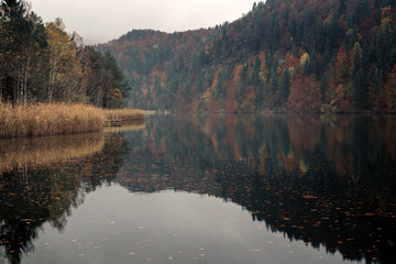 Fussen, Bavaria, Germany. Lake Schwansee surrounded by autumn forest