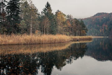 Fussen, Bavaria, Germany. Lake Schwansee surrounded by autumn forest