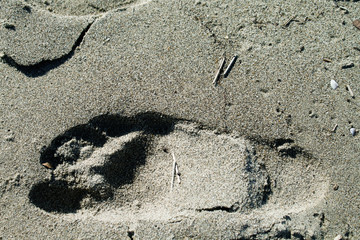 footprint