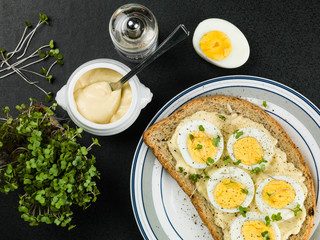 Egg and Cress Open Sandwich