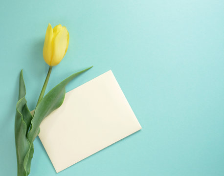 Yellow tulip with envelope on a light turquoise background