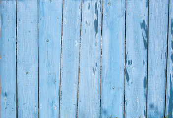 Fototapeta premium blue old wooden fence. wood palisade background. planks texture