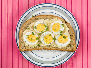 Egg and Cress Open Sandwich