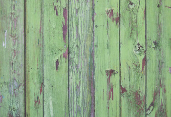 Wood planks, green texture, wooden background, fence, green