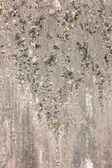 Texture of stain on the wall.