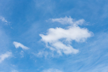 Cloud on the blue sky.