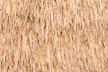 Thatched roof background texture.