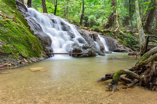 รูปภาพManora – เลือกดูภาพถ่ายสต็อก เวกเตอร์ และวิดีโอ535 | Adobe Stock