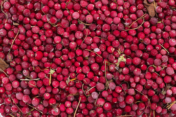 frozen berry cowberries